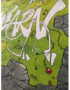 TABLEAU GRAFFITI BEARN