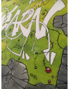 TABLEAU GRAFFITI BEARN