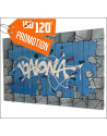 Tableau Graffiti Bayonne